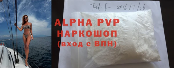 гашик Алексин