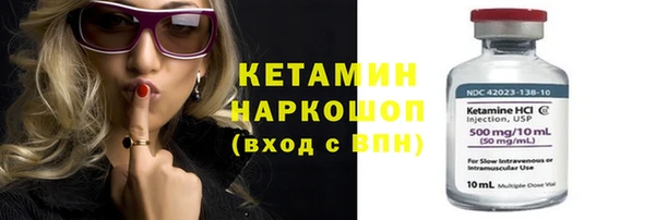 гашик Алексин