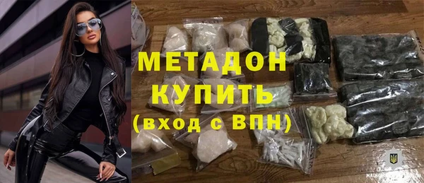 гашик Алексин