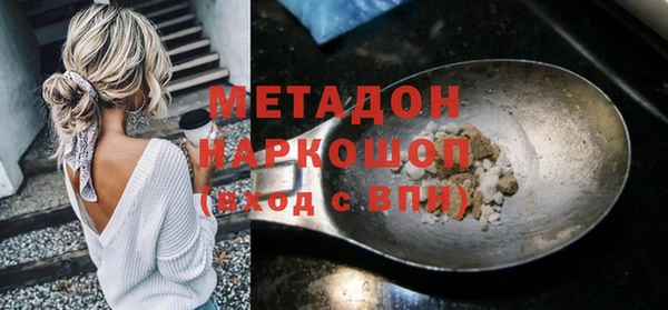 гашик Алексин