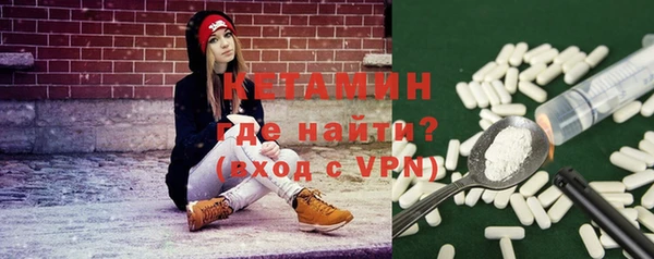 гашик Алексин