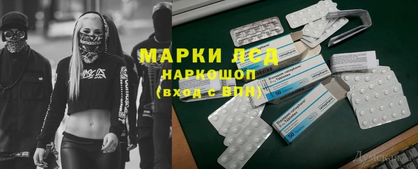 гашик Алексин